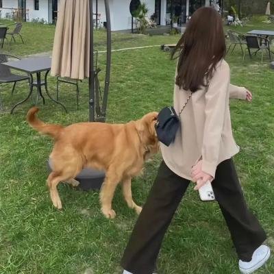 神探光头妹