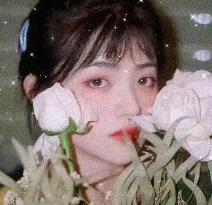 马利与我